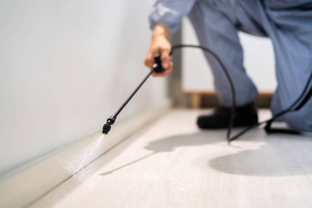 Licensed Termite Control service in Fishersville, VA - Nex Pest Control