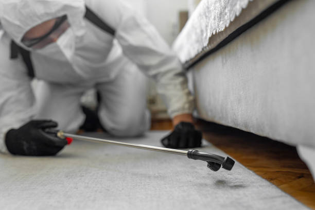 Professional Termite Control technician working in Fishersville, VA