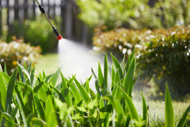 24/7 Emergency Termite Control experts in Fishersville, VA