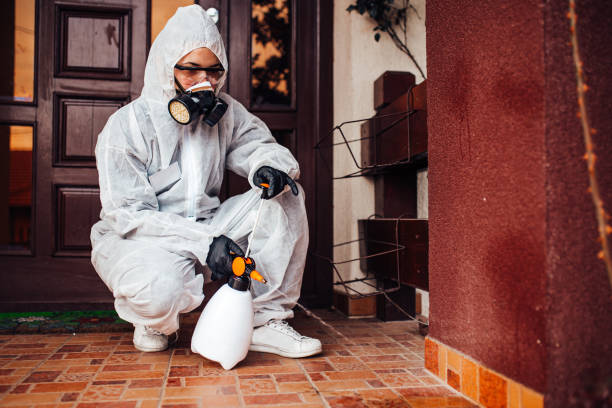 Reliable Termite Control contractor in Fishersville, VA by Nex Pest Control