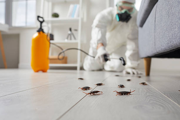 Affordable Termite Control solutions in Fishersville, VA