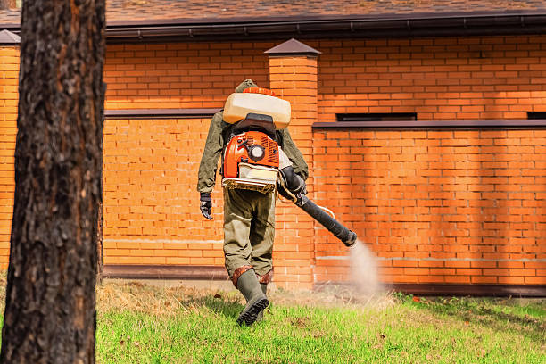 Top rated local Termite Control specialists in Fishersville, VA